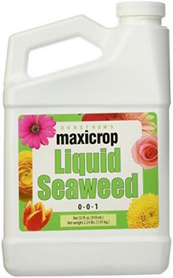 Ohrstroms Maxicorp Liquid Seaweed 32 oz