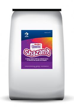 MoorMans ShowTec Shazam 22 lb