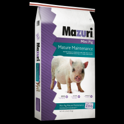 Mazuri pig outlet food