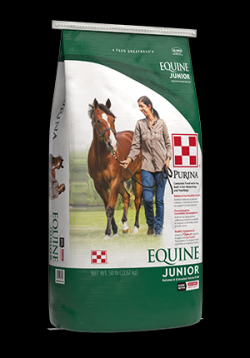 EQUINE JUNIOR  50#