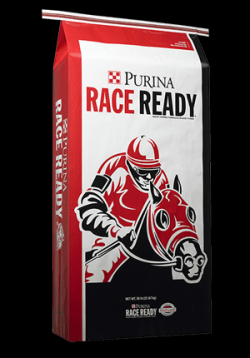 Purina race ready hotsell