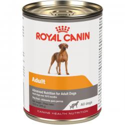 Royal Canin Canine Health Nutrition Adult In Gel Can Dog Food 13.5 oz