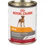 Royal Canin Canine Health Nutrition Adult In Gel Can Dog Food 13.5 oz