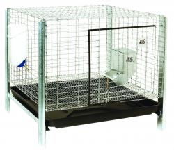 Pet Lodge Complete 24x24x16 inch Wire Rabbit Hutch