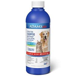 Adams Plus Flea & Tick Shampoo Dog & Cat 12 oz