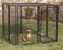Stephens Pipe & Steel 5ftx5ftx4ft Dog Yard Kennel with Sunblock Top