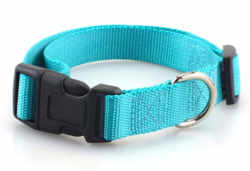 Valhoma Turquoise 3/4" Adjustable Nylon Dog Collar 14-22"