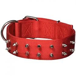Valhoma Double Layer Spiked 1 3/4" Nylon Red Dog Collar 18"