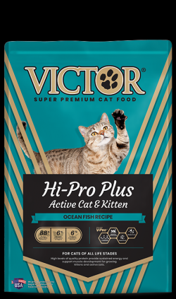 Victor Hi Pro Plus Active Cat & Kitten Ocean Fish Recipe Dry Food 5 lb