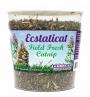 Ecstaticat Field Fresh Catnip 2.5 oz