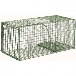 Departments - Duke Traps Live Large Heavy Duty Single Door Trap 28 x 12