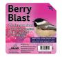Heath Bird All Season Suet Cake Berry Blast 11.25 oz