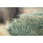 Alfalfa Hay Bale 2 String