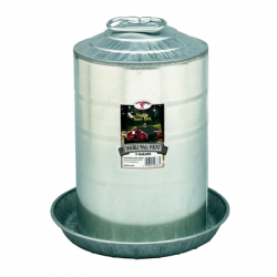 Miler Little Giant Double Wall Metal Poultry Fount 3 Gallon