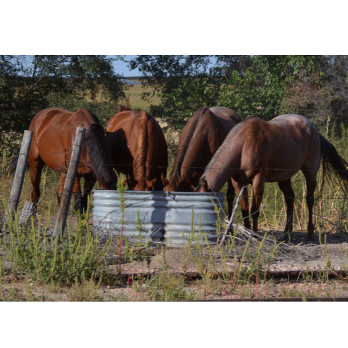 STOCK TANKS