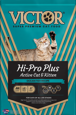 Victor Hi Pro Plus Active Cat & Kitten Ocean Fish Recipe Dry Food