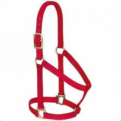 Weaver Weanling Halter Nylon