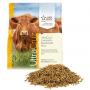 UltraCruz Livestock Electrolyte Plus Supplement 5 lb