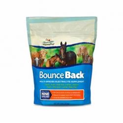 Manna Pro Bounce Back Electrolyte 4 lb