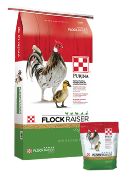 Purina Flock Raiser Crumbles Chicken Feed