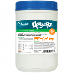 Sunglo 4Sure Electrolyte 3 lb