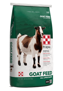 Purina Goat Feed All life Stages 50 lb bag