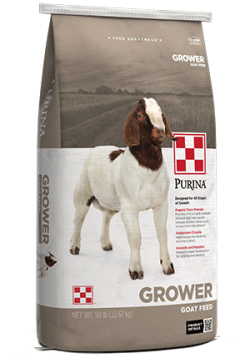 Purina Goat Feed Grower 16 Plus Up DQ Complete 50 lb bag