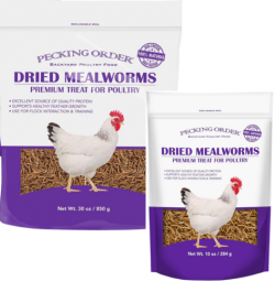 Pecking Order Dried Mealworm Poultry Treat